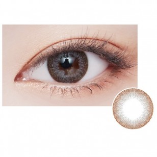 Lens Story Rosee Classic Gray(月拋)